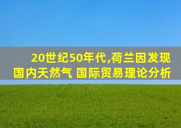 20世纪50年代,荷兰因发现国内天然气 国际贸易理论分析